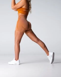 Terracotta High-Waisted Seamless Contour Shorts