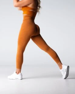 Terracotta High Waisted Seamless Workout Leggings