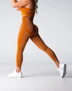 Terracotta High-Waisted Performance Seamless Leggings