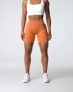 Burnt Orange High Waisted Seamless Scrunch Shorts 6 Burnt Orange High Waisted Seamless Scrunch Shorts -NVGTN Sportswear Shop DSC03612