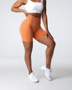 Burnt Orange High Waisted Seamless Scrunch Shorts 7 Burnt Orange High Waisted Seamless Scrunch Shorts -NVGTN Sportswear Shop DSC03616 70854dd3 ab16 4483 8a4b 225f1c5cce5d