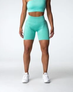 Mint Scrunch Seamless High Waisted Workout Shorts 6 Mint Scrunch Seamless High Waisted Workout Shorts -NVGTN Sportswear Shop DSC03862