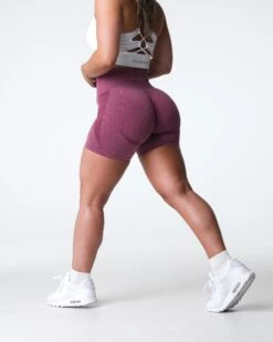 Maroon Contour Seamless Shorts - High Waisted Sculpting Gym Wear