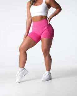 Hot Pink High-Waisted Seamless Contour Workout Shorts -NVGTN Sportswear Shop DSC04372 7f752f82 c2d7 4b59 a734 2201b51e340a