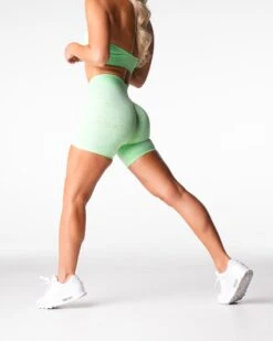 High Waisted Seamless Workout Shorts with Compressive Waistband - Pistachio -NVGTN Sportswear Shop DSC04936