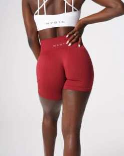 Carmine Solid Seamless High-Waisted Workout Shorts 6 Carmine Solid Seamless High-Waisted Workout Shorts -NVGTN Sportswear Shop DSC08220